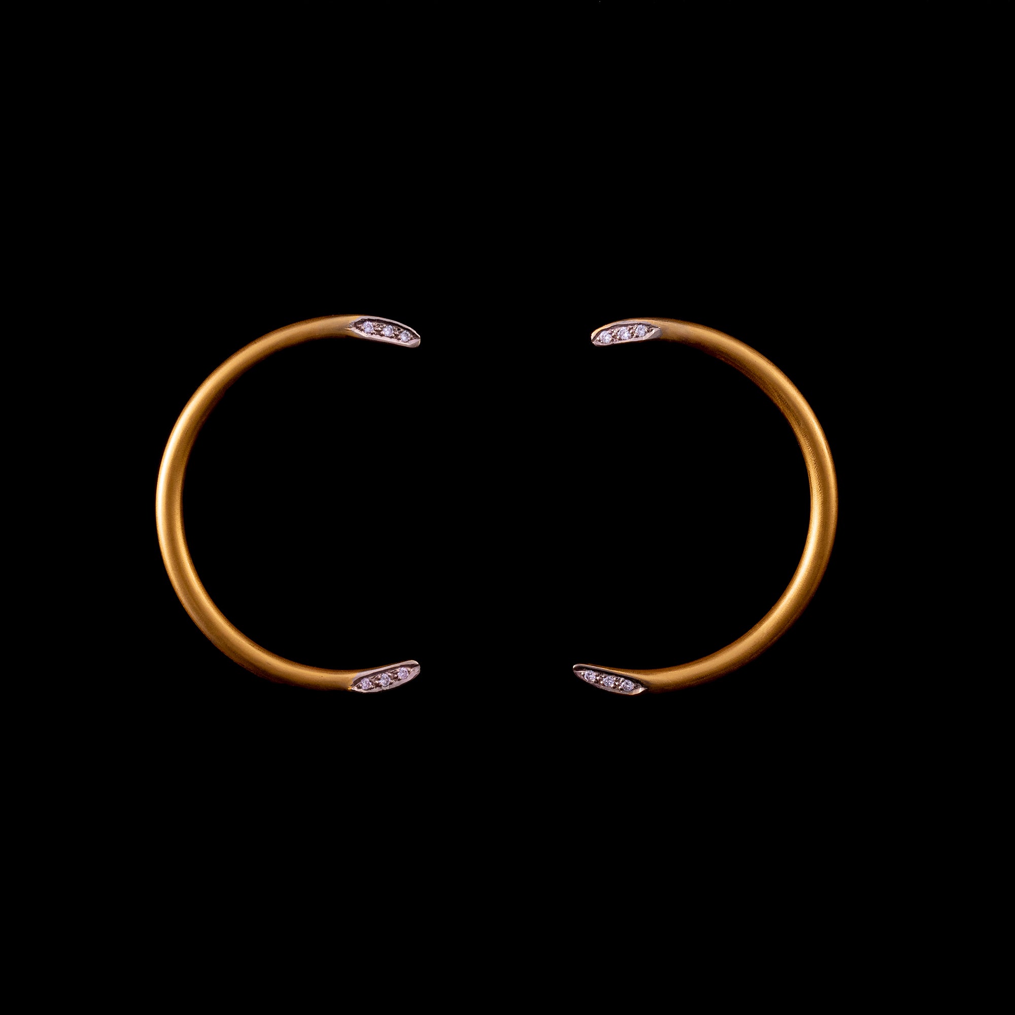 Almost Hook Earrings