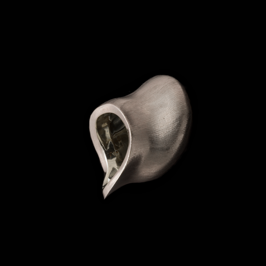 Silver Body Like Ring A