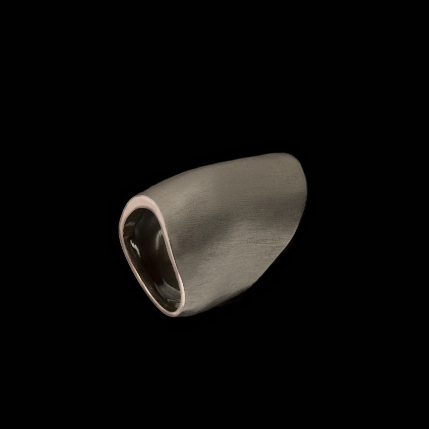 Silver Ring Like Body