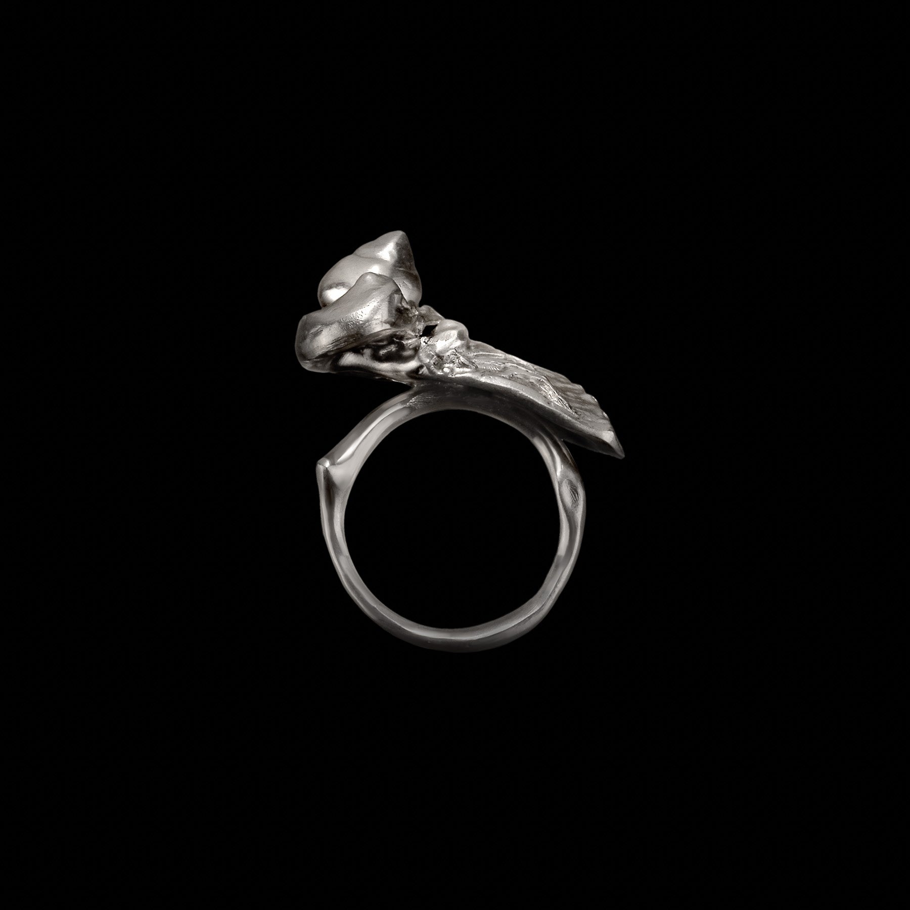 Amazing Creatures Ring I