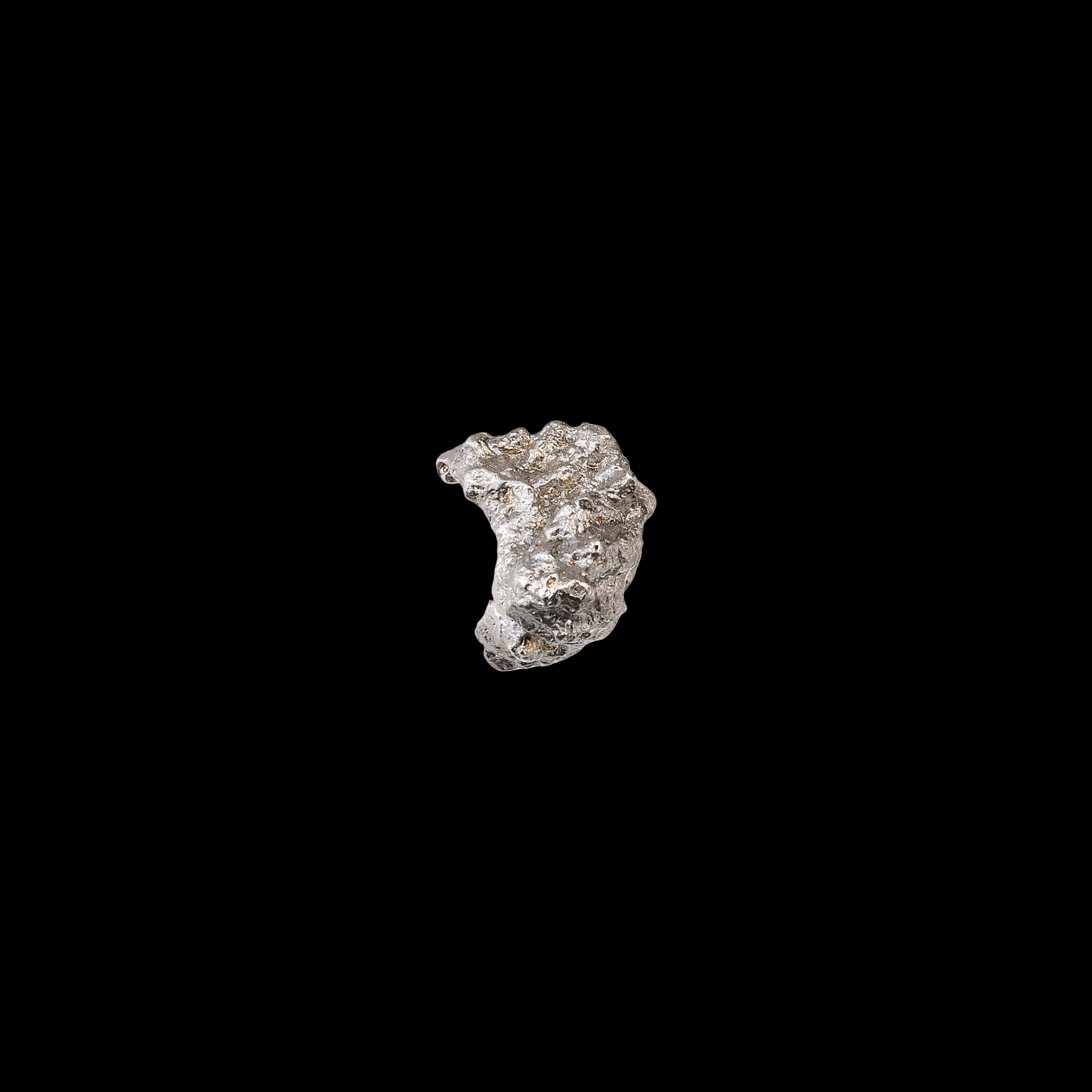 Limpet earring