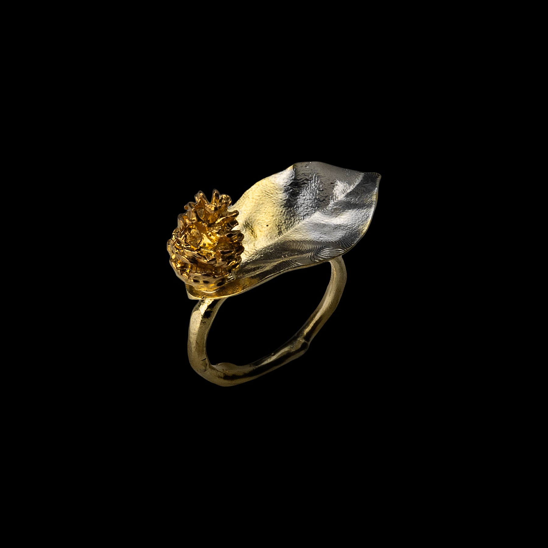 Symbiosis Ring I