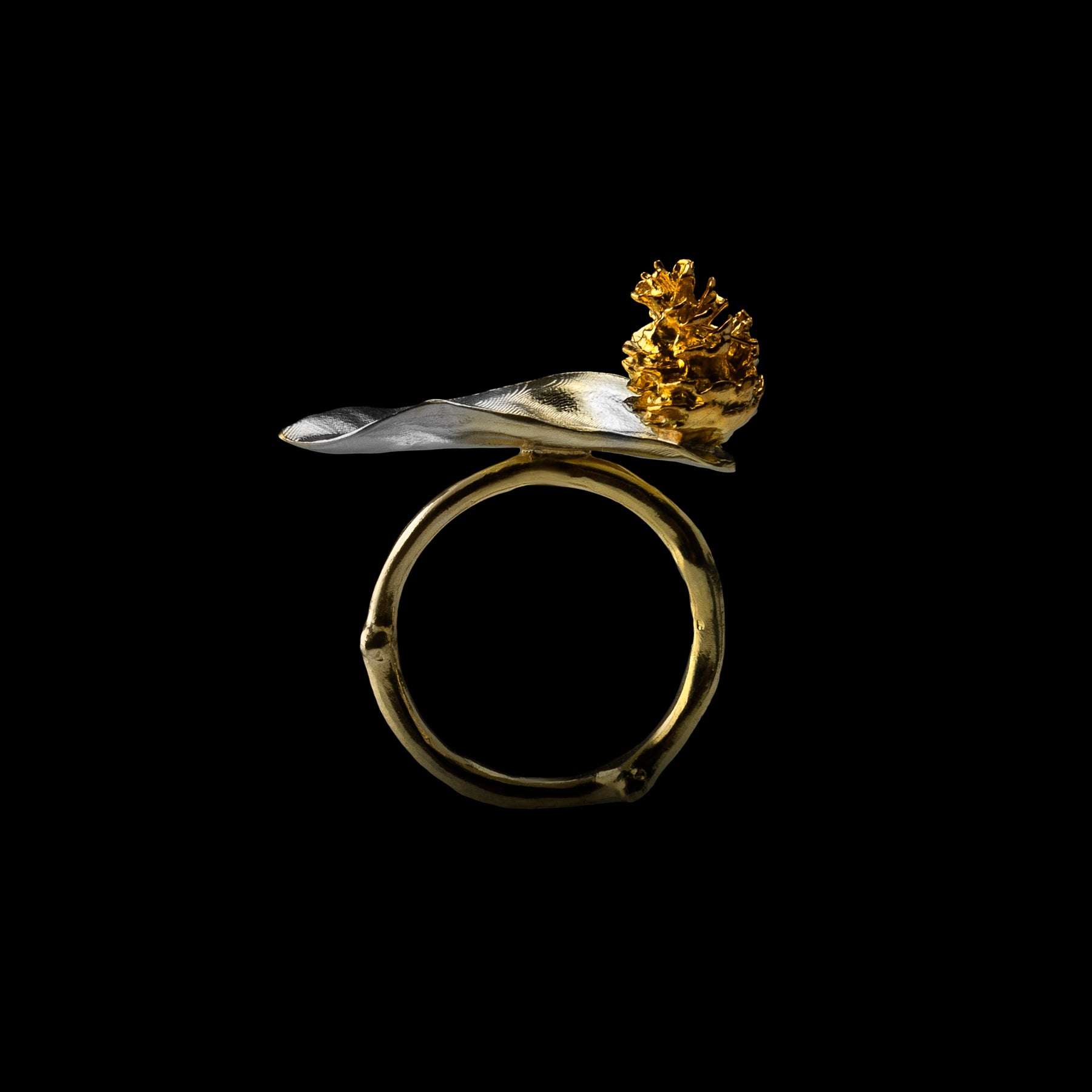 Symbiosis Ring I