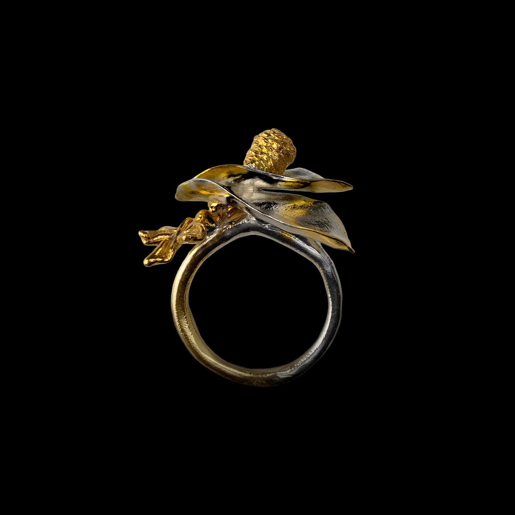 Symbiosis Ring II