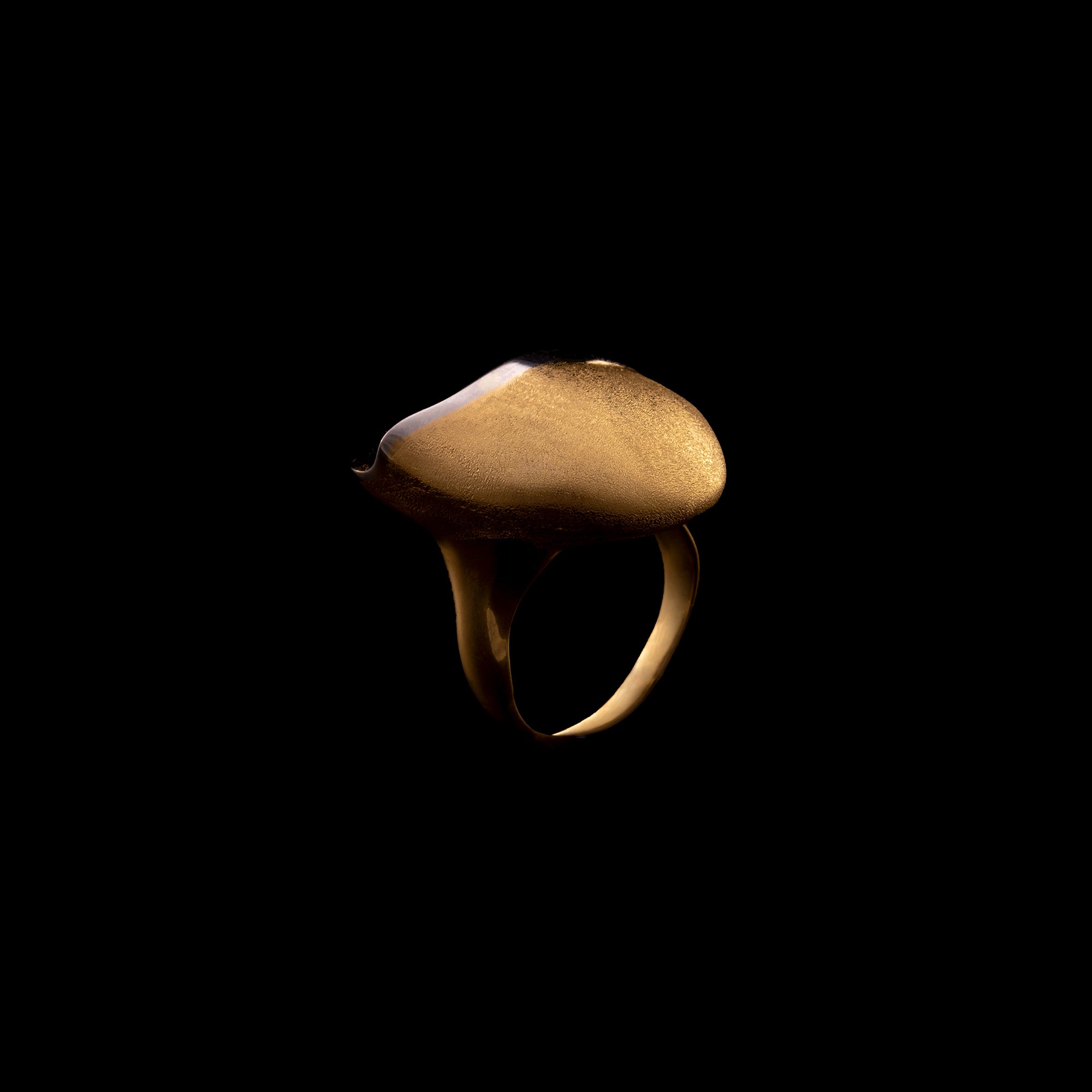 Χρυσό και Λευκόχρυσο Δαχτυλίδι 18Κ Pebble Extravaganza Ring