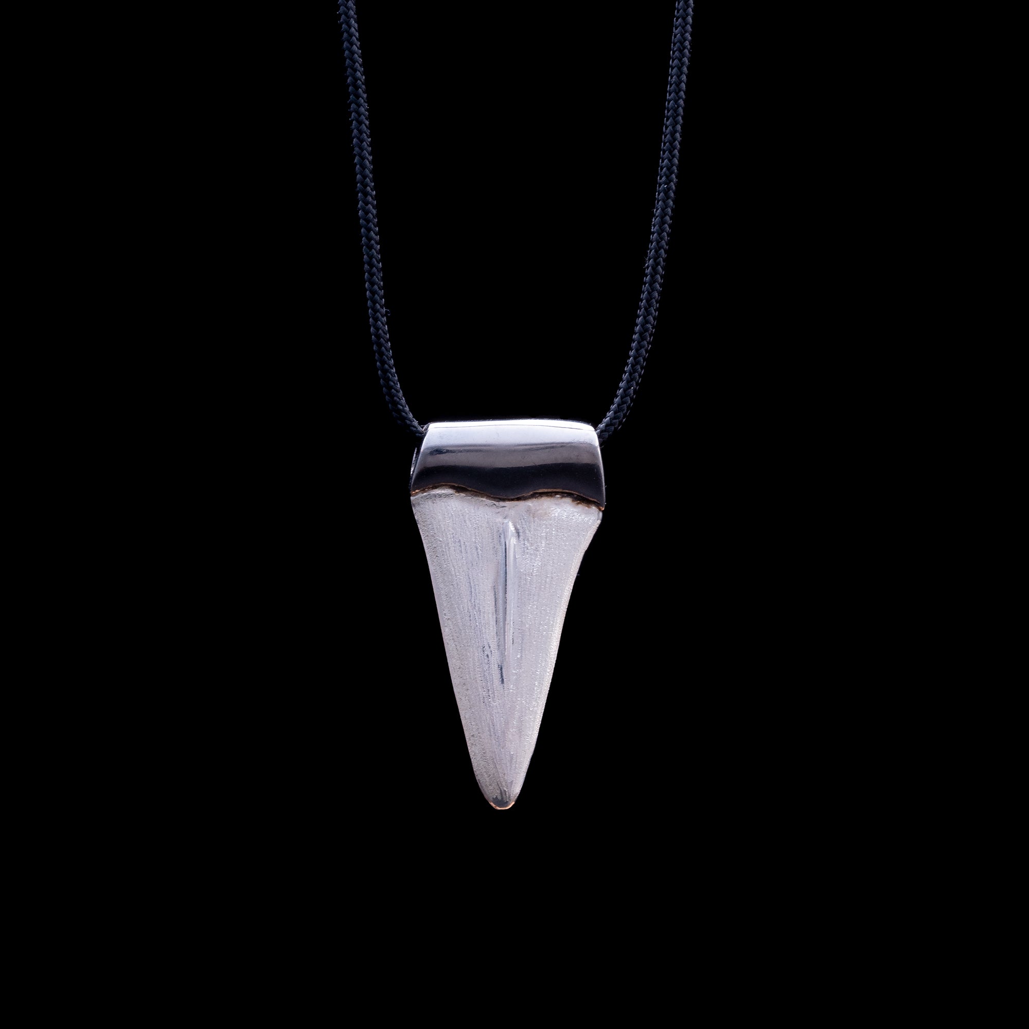 Ancient Shark's Toot Pendant Necklace by On U Jewelry